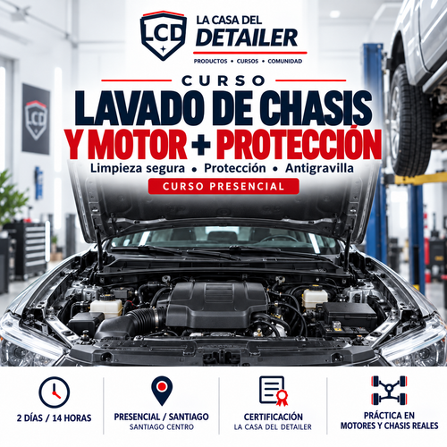 Curso de Lavado de Chasis y Motor + Protección